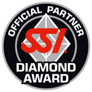  SSI Diamond Award 2020