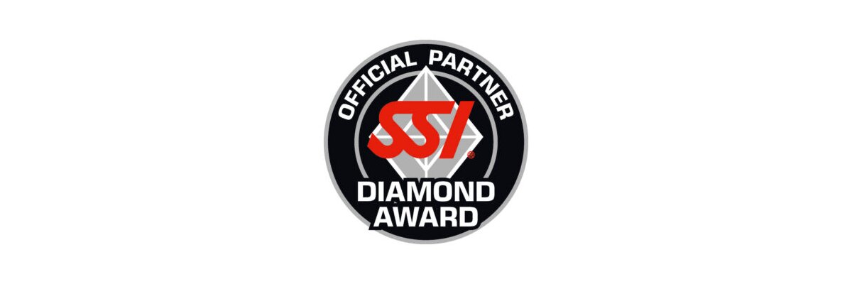  SSI Diamond Award 2020 - 