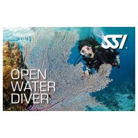 Tauchkurs Open Water Diver