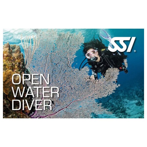 VIP 1 Open Water Diver